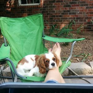 Meet your Posher, Marium